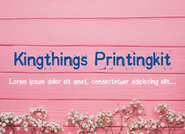 Kingthings Printingkit example